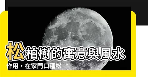 松柏 風水|【松柏樹風水】松柏樹風水：種在家門口好嗎？解開風水寓意